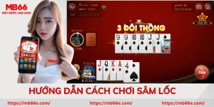 Cách Chơi Sâm Lốc: Luật Chơi, Mẹo Thắng & Chiến Thuật Hiệu Quả