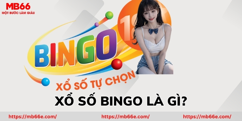 Thông tin cơ bản về sản phẩm sổ xố Bingo