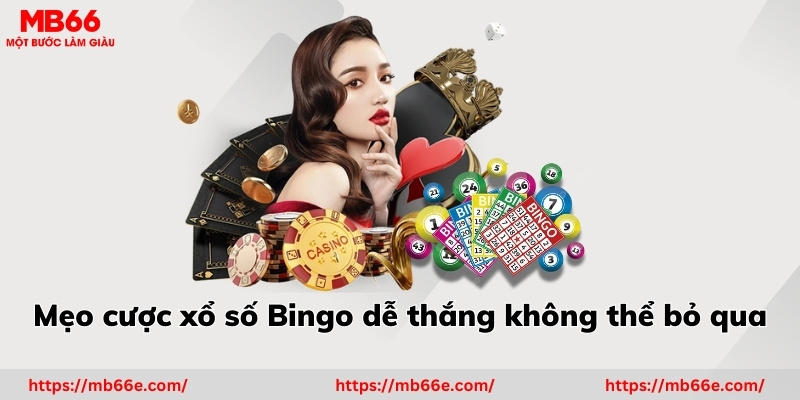 Mẹo cược xổ số Bingo dễ thắng không thể bỏ qua