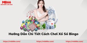 Cách Chơi Xổ Số Bingo: Hướng Dẫn Chi Tiết Dễ Hiểu Nhất