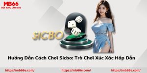 Hướng Dẫn Cách Chơi Sicbo: Trò Chơi Xúc Xắc Hấp Dẫn