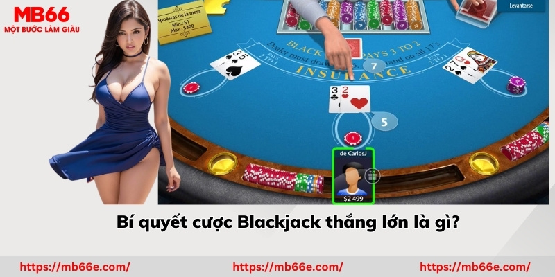 Bí quyết cược Blackjack thắng lớn là gì?